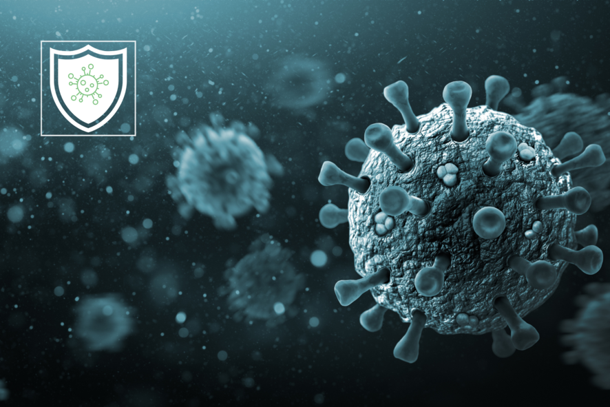 Slintavka a kulhavka: Starý nepřítel, který se stále vrací