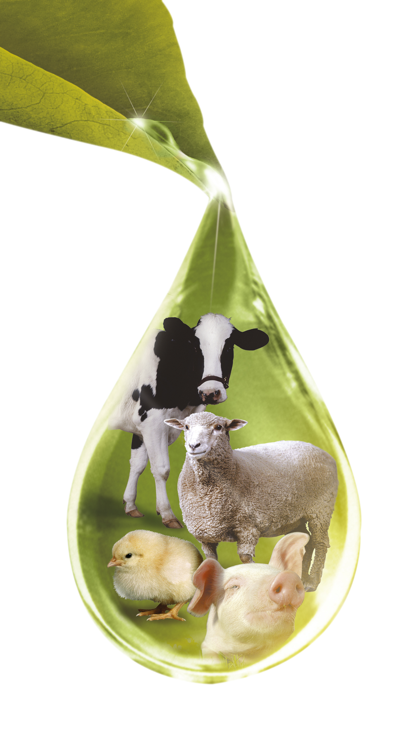 Přírodní složení