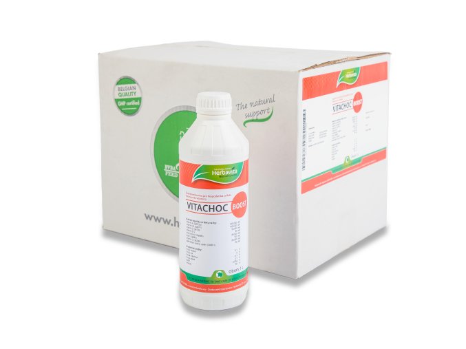 Vitachoc Boost