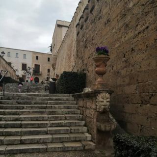 Odpolední výlet do Palmy. Zatím jsme tu bez auta, tak využíváme autobusovou dopravu. A protože jsme ještě nebyli v...