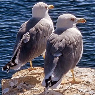 Blíží se víkend. Máte taky nějaké plány ve dvou? Nebo vyhraje čas pro sebe? #mallories #mallorcalife #zivotumore...