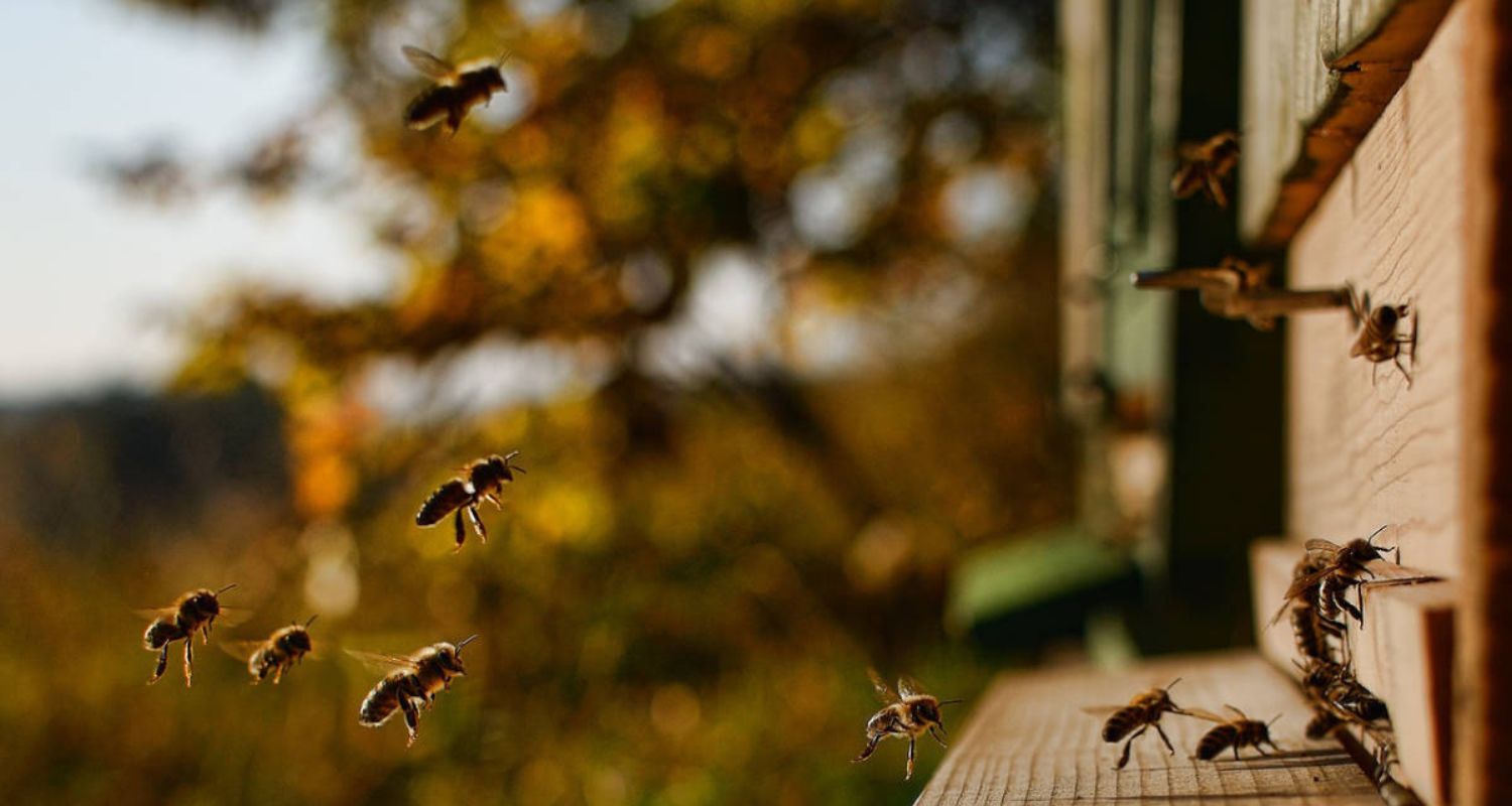 KONEC PŘÍPRAV, JARO 2022