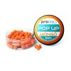 Promix Pop Up Pellet 8mm