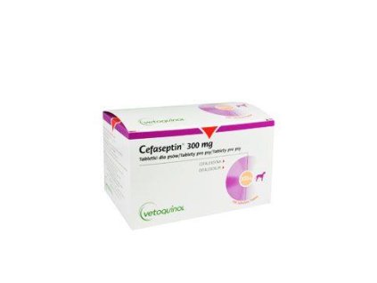 Cefaseptin P 300mg 100tbl