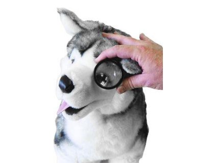 VI Nepřímý objektiv čočky
