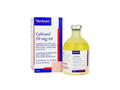 Ceftionil 50mg/ml inj 100ml