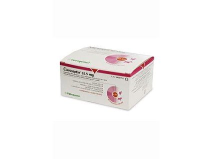 Clavaseptin tbl 100x62,5mg