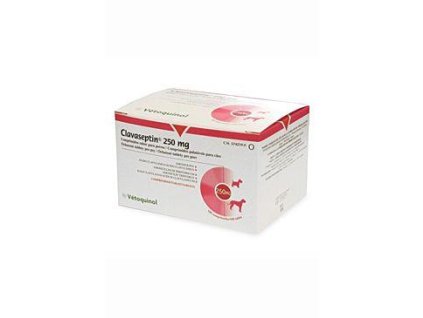 Clavaseptin tbl 100x250mg