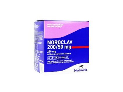 Noroclav 250mg 20x5tbl(100tbl)
