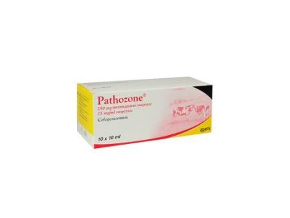 Pathozone susp 10x10ml/250mg