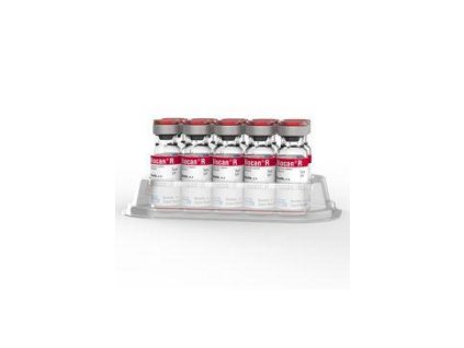 Biocan R 10x1 dávka