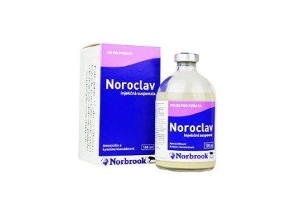 Noroclav inj 100ml