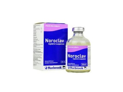 Noroclav inj 50ml