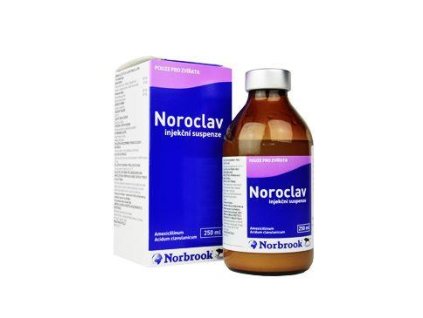 Noroclav inj 250ml
