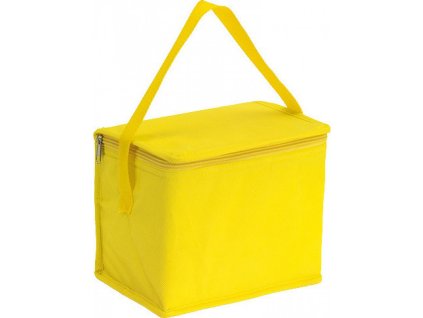 Chladící taška z polypropylenu s objemem 4,7 litrů (Barva modrá, Velikost 20,5 x 13,5 x 17 cm)