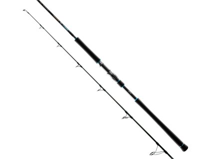 Oblíbený SW X1 Offshore 7815ExH 2,38 m 40-120 g PE #4,0-5,0 Mod.Fast