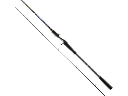 Rybářský prut Skyline Casting SKYC-842SH 2,54 m 30-100 g Ex.Fast