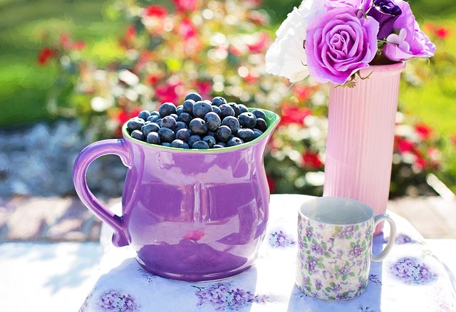 blueberries-864627_640