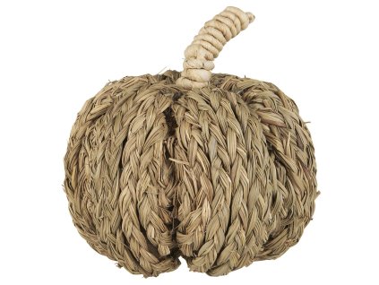 Přírodní dekorace dýně PUMPKIN COACH GRASS pro podzimní výzdobu