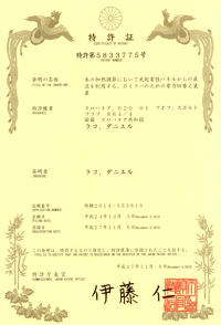LOGITEX_patent_Japan