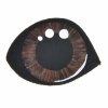 Braun - 22 €