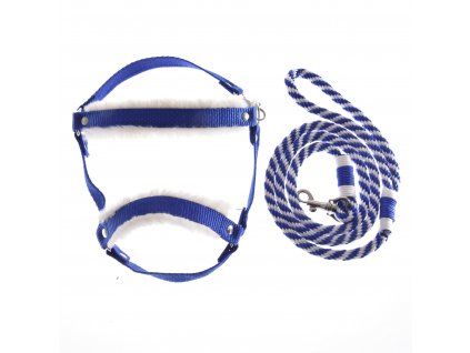 Set Essential Blue