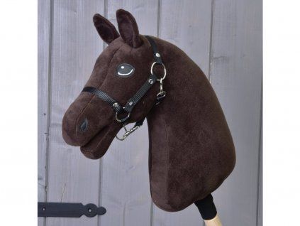 Pferd – Farbe Dunkelbraun