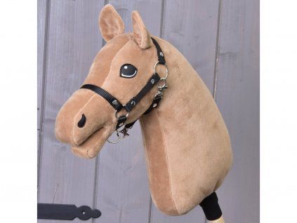 Pferd – Farbe Karamell
