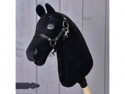 Pferd – Farbe Schwarz
