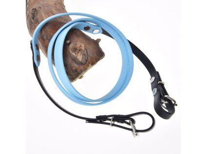 light blue (1)