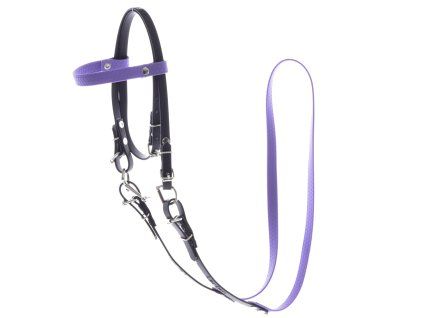 Light Purple (3)