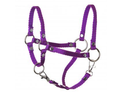 Hobby Horse Halfter lila