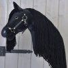 Maximus (8)