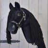 Maximus (10)