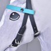Horse on a Stick bridle with 2 headbands turquoise ( Size M )