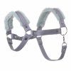 Stockpferd Halfter grau mit mint Pelz