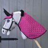 Horse on a Stick Set Thermo Pink with  Fur