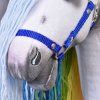 Hobby Horse Unicorn Rainbow mit schwarzem Halfter