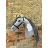 Pferd – Farbe Hellgrau