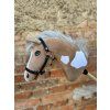 Pferd – Farbe Karamell