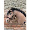 Pferd – Farbe Karamell