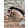 Pferd – Farbe Karamell