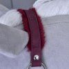 Burgundy (1)