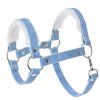 Pastell Blue (1)