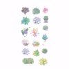 Samolepky - Succulents, 6 archů