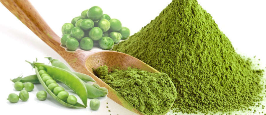 pea-protein-powders-2-0-900x391