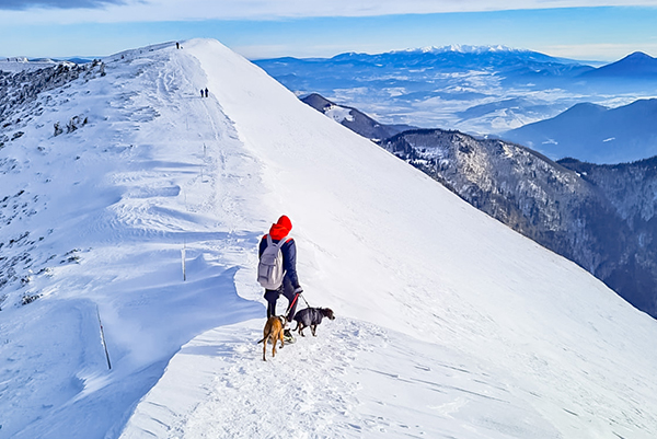 S Keylou a Thorom #4 - Okruh v Malej Fatre