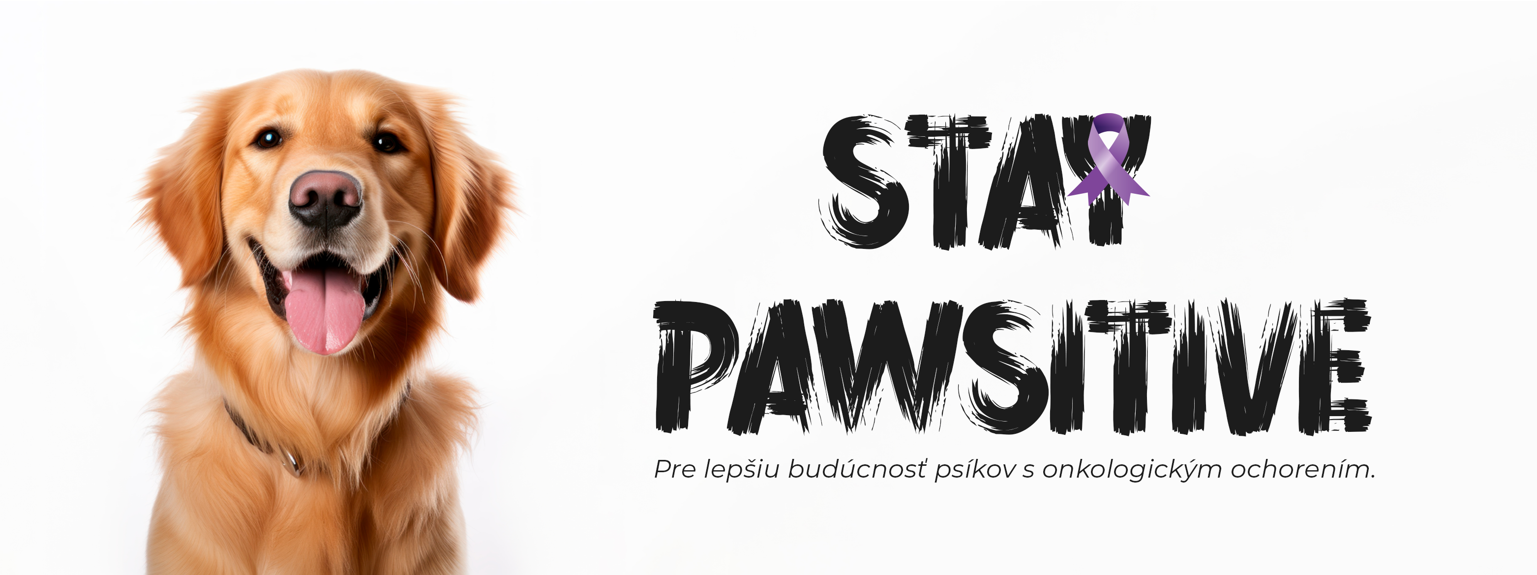 Stay pawsitive