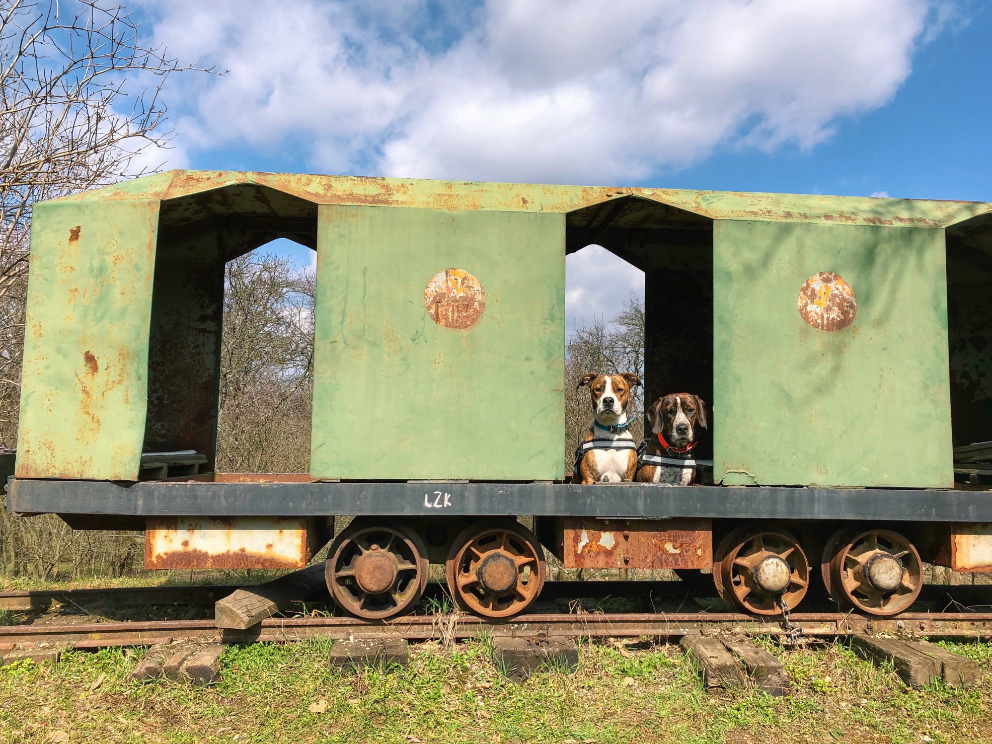 30072873_1468330146611460_6761358832062716352_o