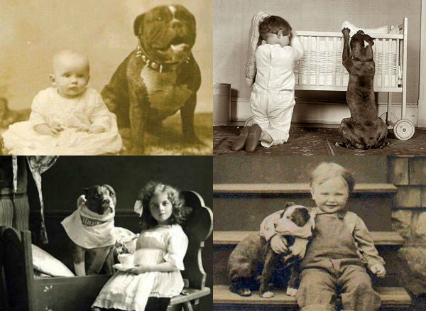 Pit-Bull-kids-collage_600x600